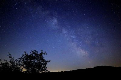 Low angle view of silhouette trees against sky at night