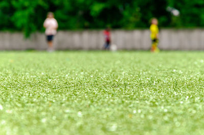 Surface level of soccer field