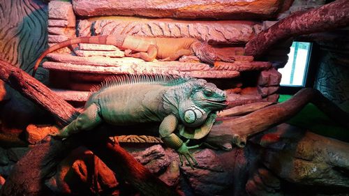 Close-up of animal sculpture