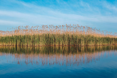 Scenic view of lake against sky