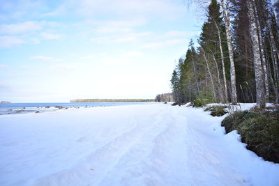 Snow covered land and trees against sky