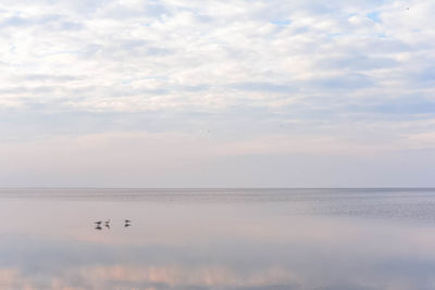 Scenic view of sea against sky at sunset