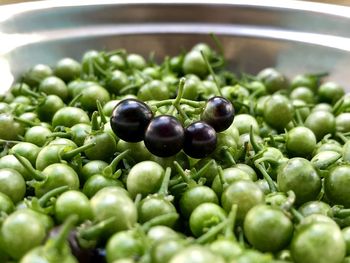 High angle view of blackberries in bowl