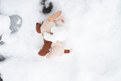 High angle view of stuffed toy on snow