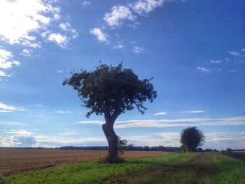 Trees on field against cloudy sky