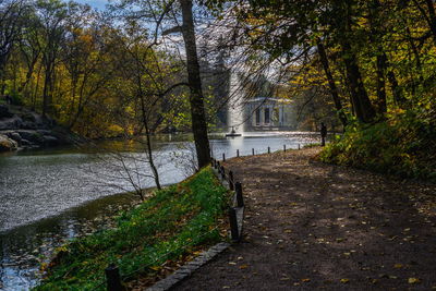 Footpath by river in forest