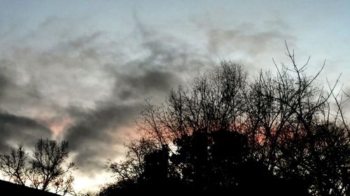 Silhouette of bare trees against cloudy sky