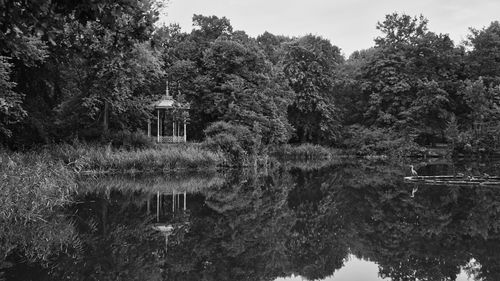 Reflection of trees on lake in forest