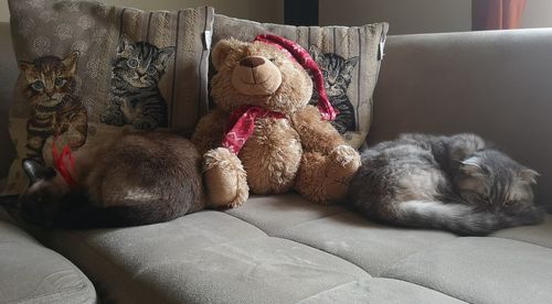 Stuffed toy on bed at home