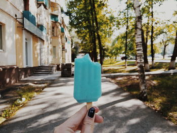 Person holding ice cream cone against trees