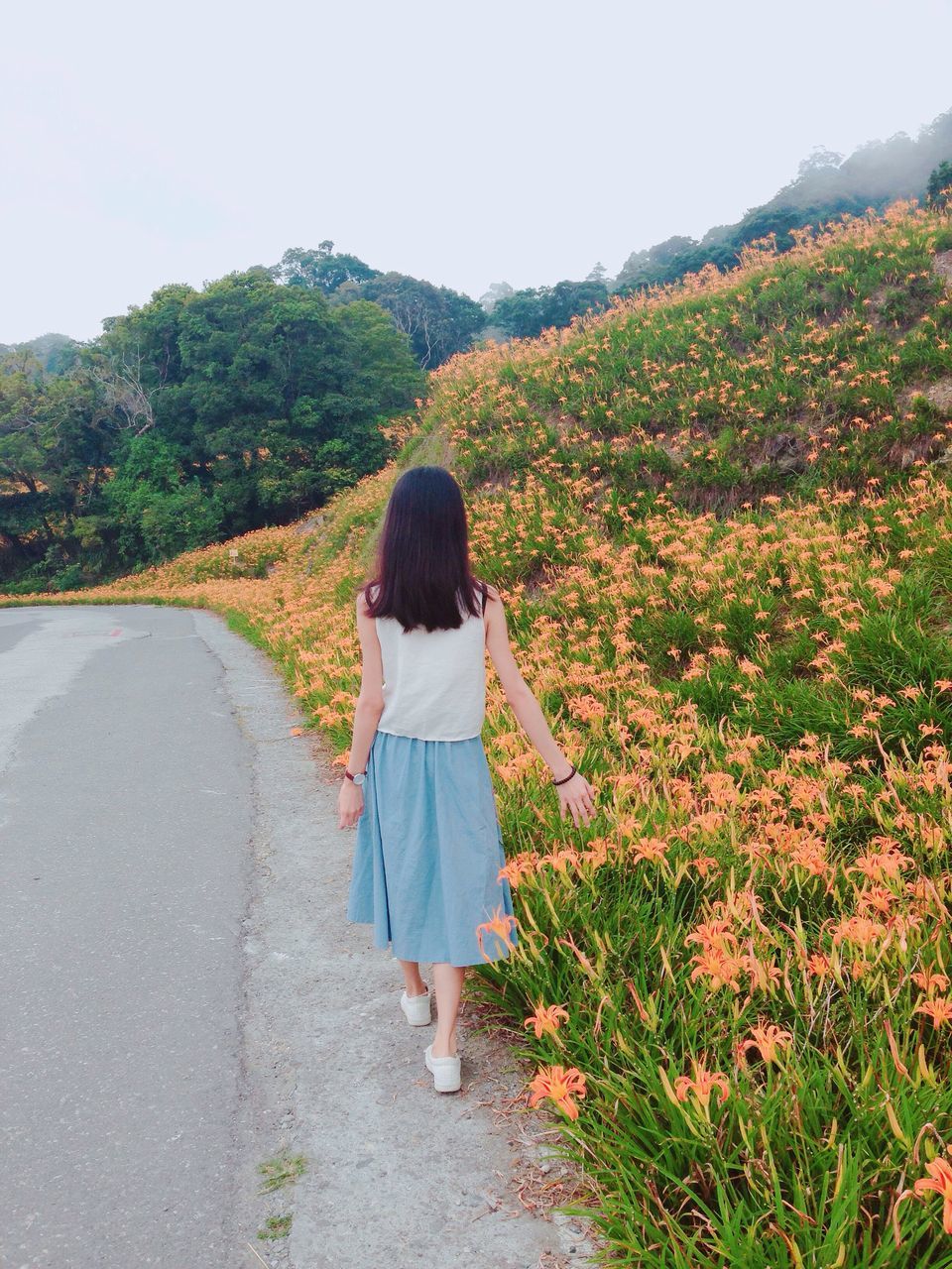 real people, one person, full length, rear view, casual clothing, standing, plant, mountain, tree, leisure activity, day, walking, nature, growth, outdoors, lifestyles, long hair, young women, young adult, clear sky, scenics, beauty in nature, sky