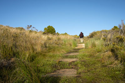 Rear view of man on footpath against sky