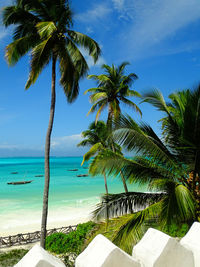 Palm trees by swimming pool against sky