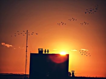 Low angle view of silhouette birds flying against sky during sunset