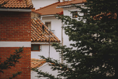 Low angle view of roof of building