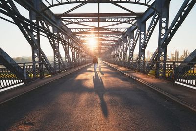 Rear view of young man walking with labrador retriever on bridge