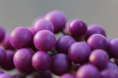 Close-up of grapes
