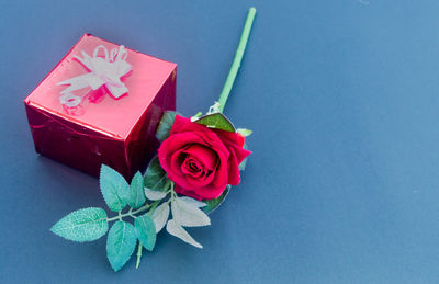 Close-up of red rose against blue background