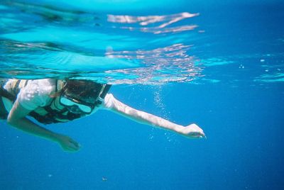 Jellyfish swimming in sea