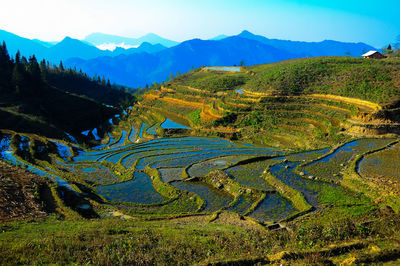 Scenic view of terraced field and mountains on sunny day