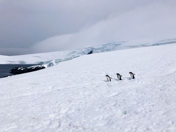 Scenic view of landscape against sky during winter