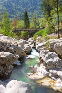 River flowing through rocks in forest