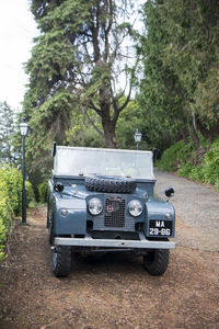 Vintage car on road by trees in forest