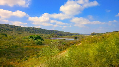 Scenic view of field against sky