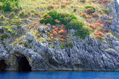 Scenic view of sea and rocks