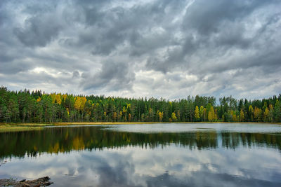 Scenic view of lake in forest against sky