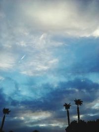 Low angle view of trees against sky