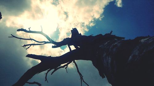 Low angle view of cloudy sky