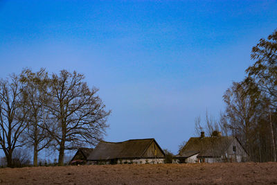 Bare trees and houses on field against clear blue sky