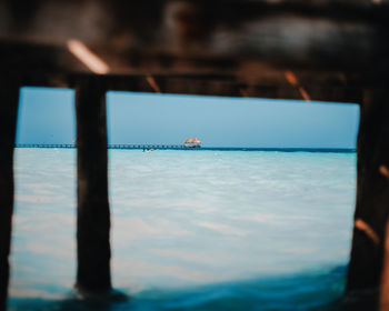 Close-up of swimming in sea