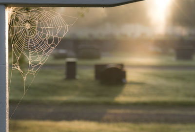 Close-up of spider web against sky during sunset