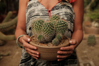Midsection of woman holding potted cactus
