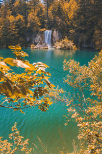 Scenic view of lake in forest during autumn