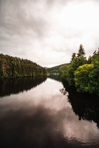 Scenic view of lake by trees against sky