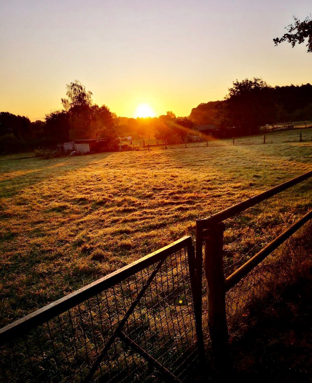 SCENIC VIEW OF FIELD AGAINST SKY AT SUNSET