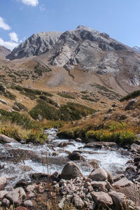 wilderness