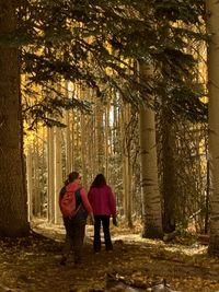 Rear view of women standing in forest