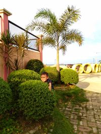 Rear view of person on palm trees by plants