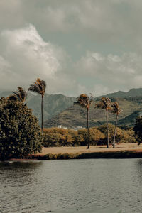 Scenic view of lake by trees against sky