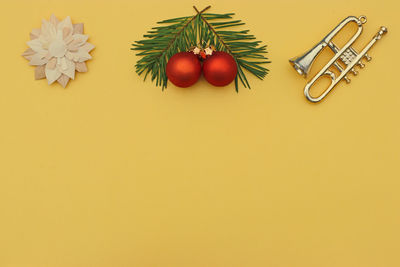 High angle view of fruits and plants against orange background