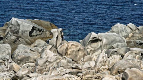 Scenic view of sea shore