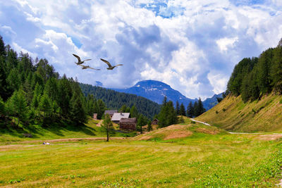 Scenic view of landscape and mountains against sky