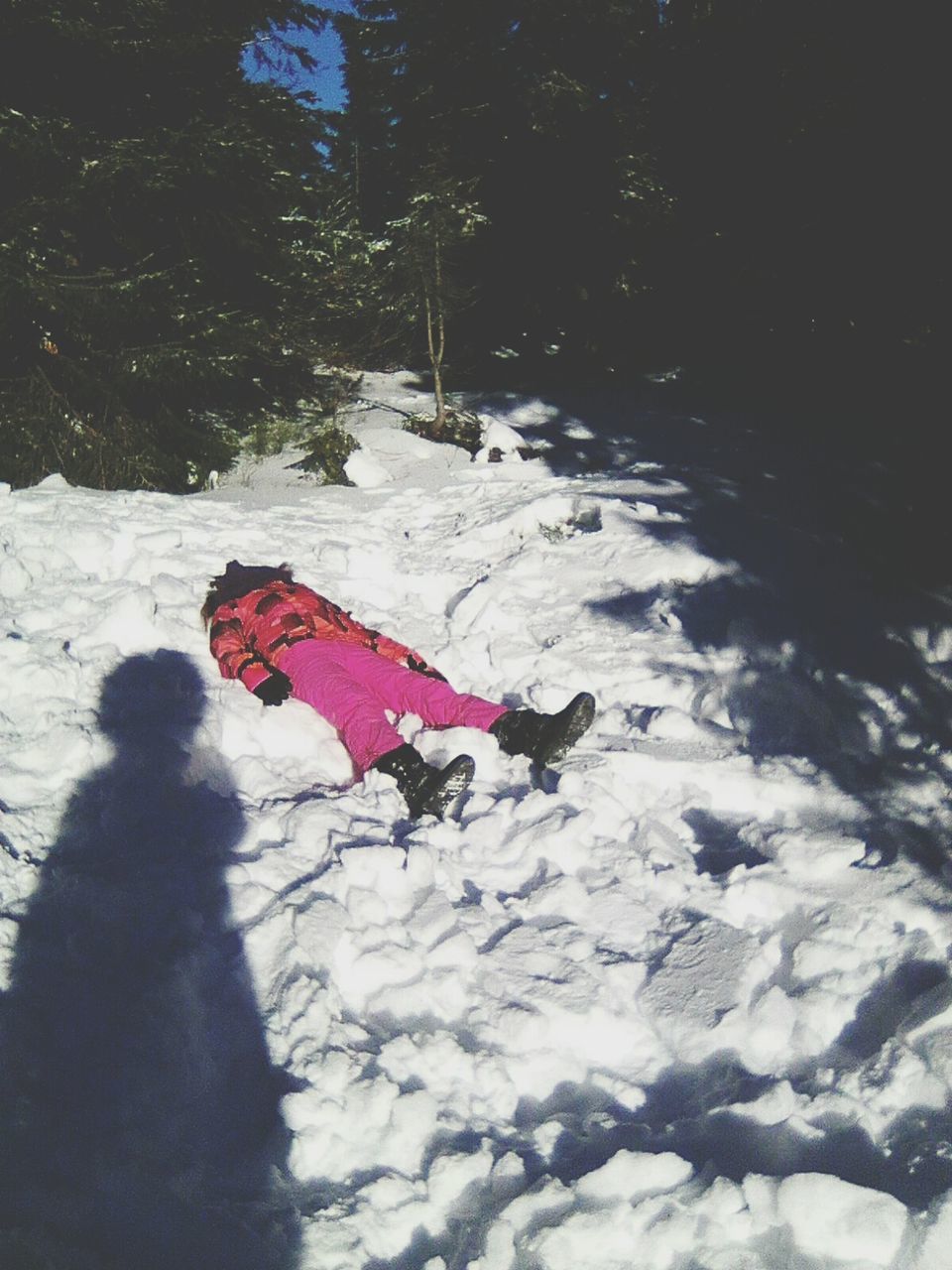 red, one person, real people, winter, snow, day, cold temperature, people, tree, outdoors, nature, adult, human body part