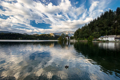 Reflection of trees in calm lake
