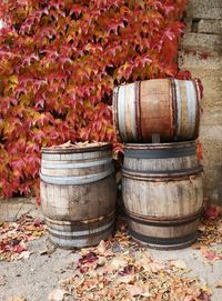 barrel