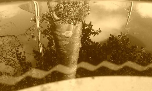 Close-up of ice on table